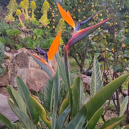 Villa Boheme Costa Brava Calonge  Exteriör bild