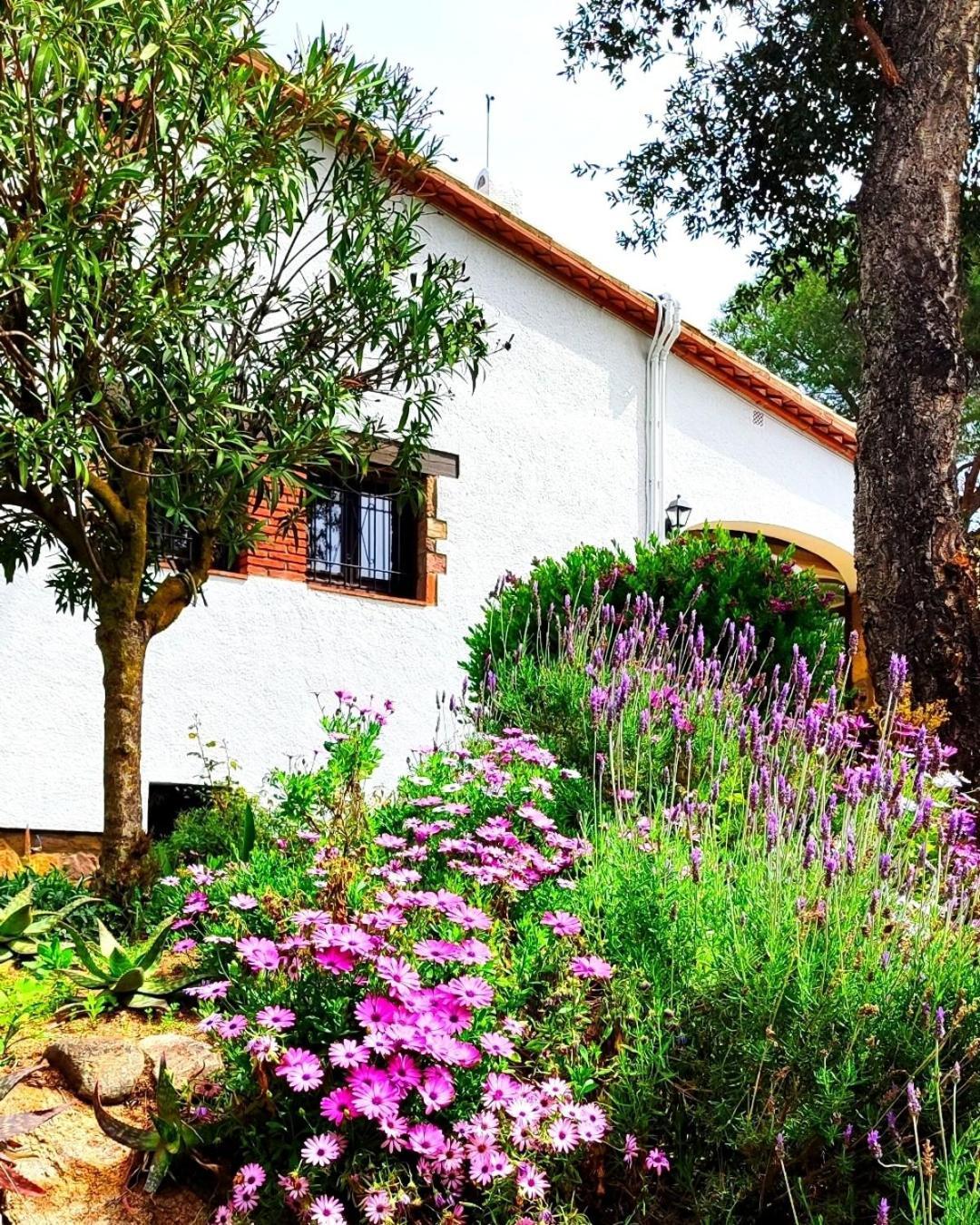 Villa Boheme Costa Brava Calonge  Exteriör bild